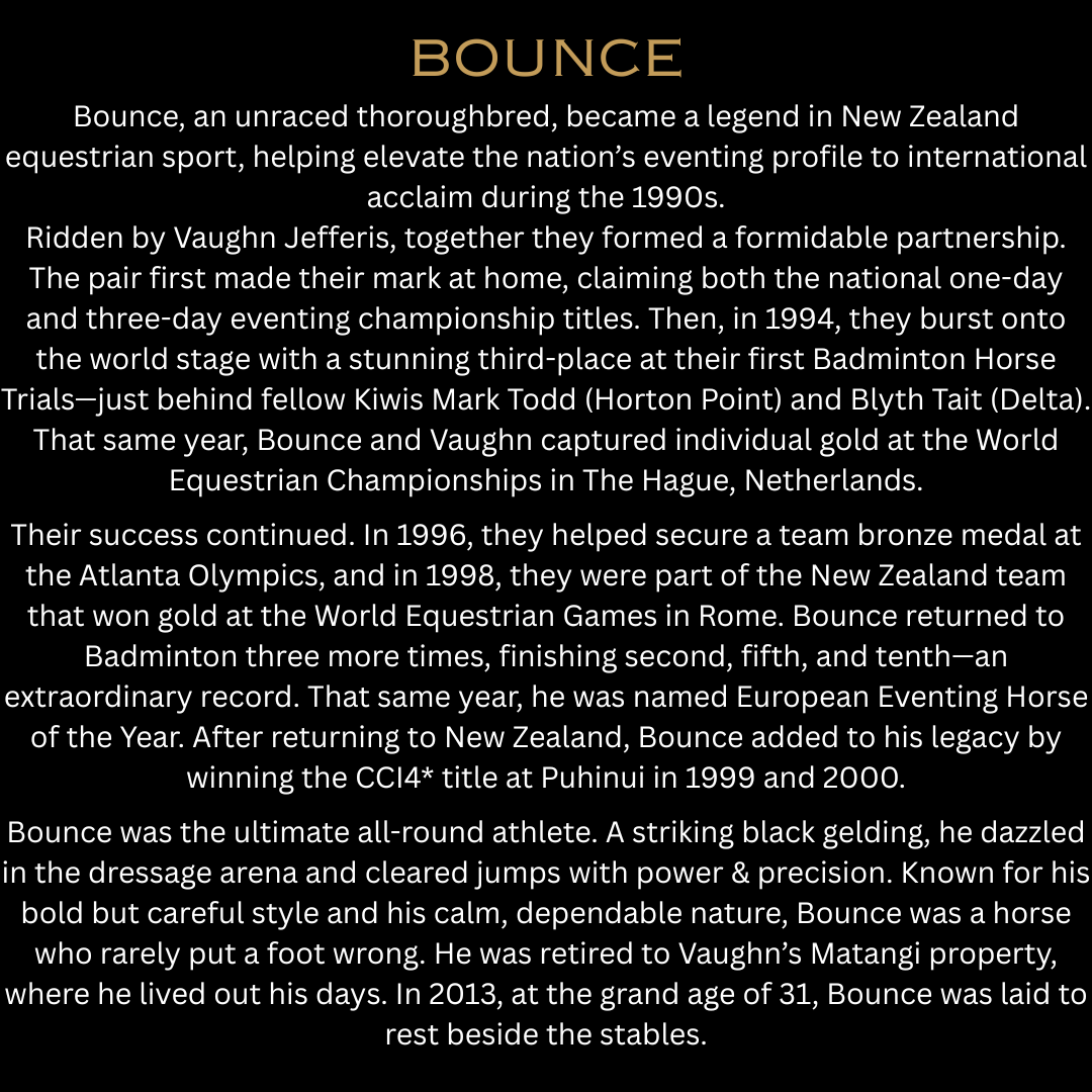 BOUNCE | Blackberry Violet Citrus Coconut