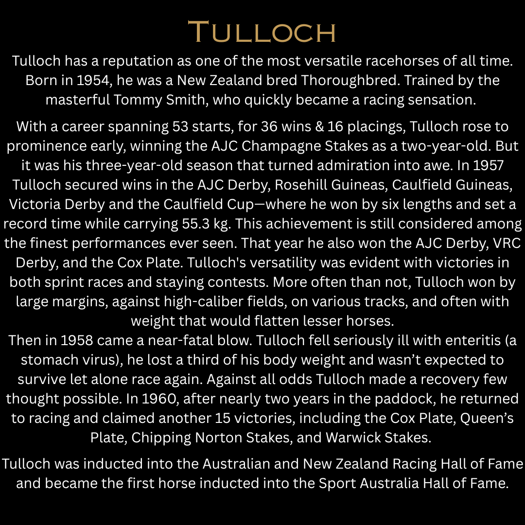 TULLOCH | Lime Cedar Vetiver Sandalwood