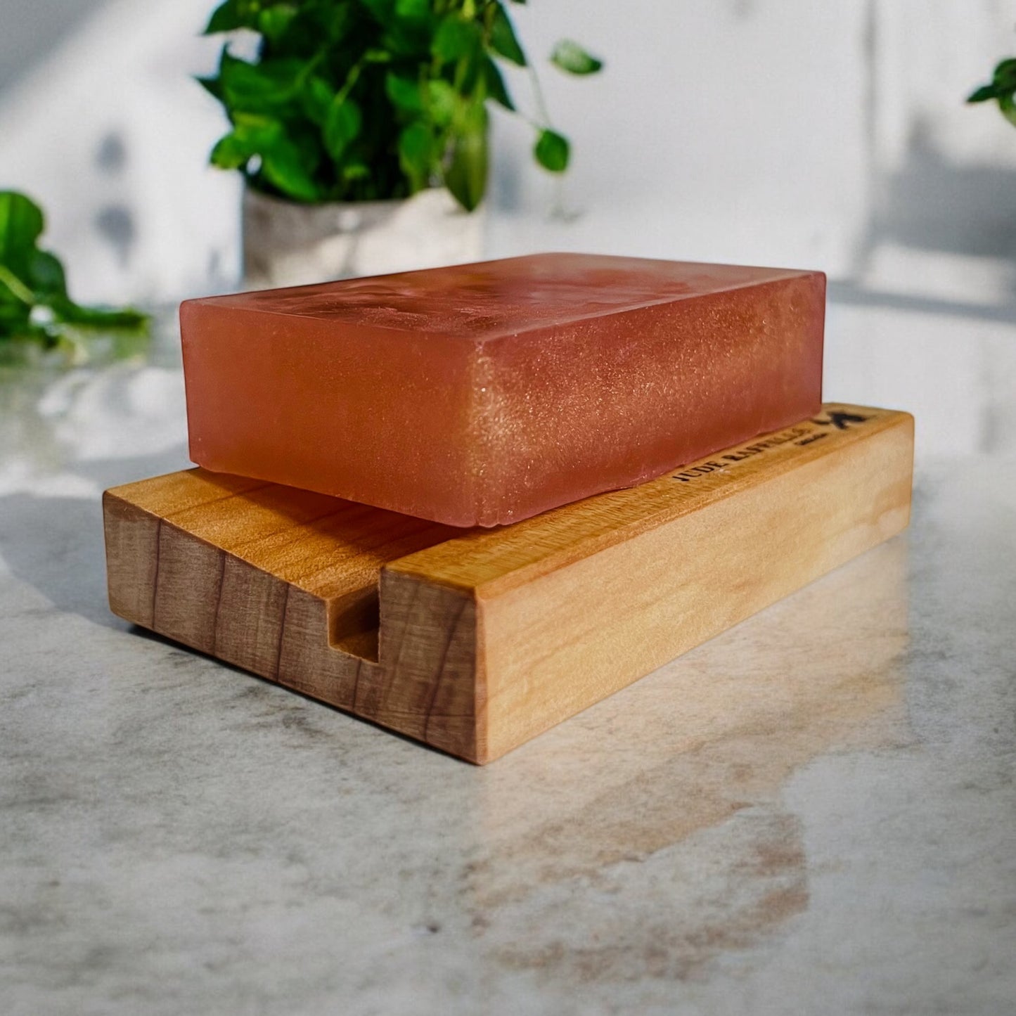Soap Dish