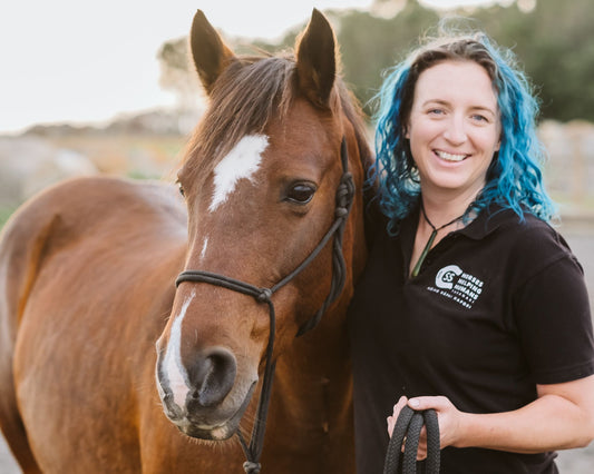 Charity Spotlight - Horses Helping Humans Taranaki