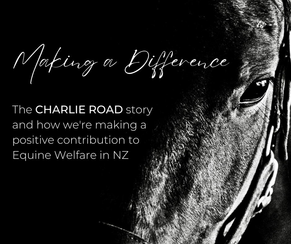 Making a Difference - The CHARLIE ROAD Story