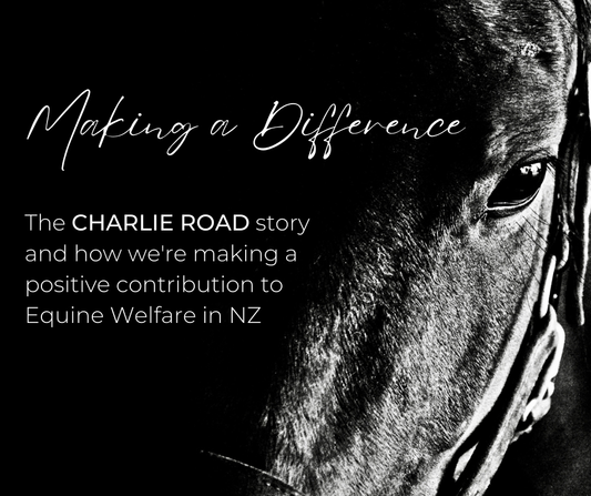 Making a Difference - The CHARLIE ROAD Story