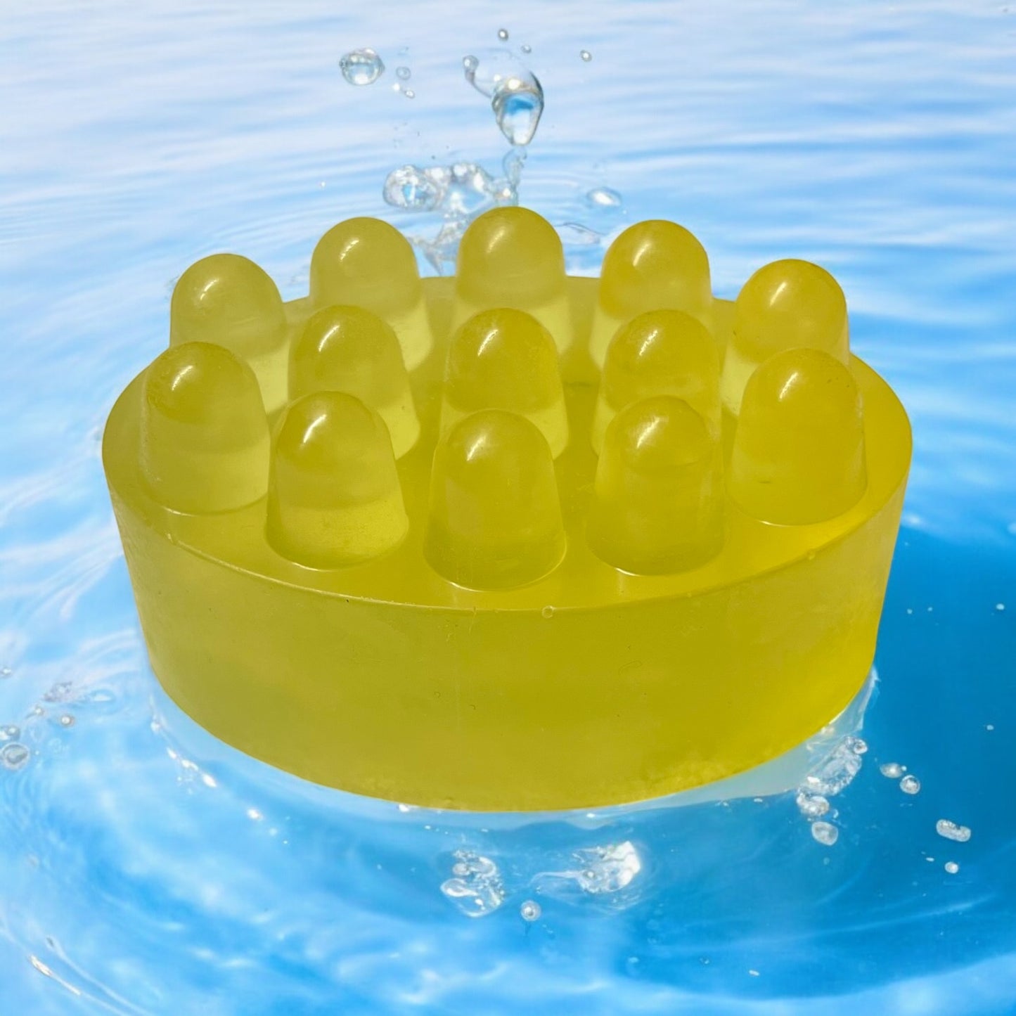 Pet Wash Bar - Bugs Away