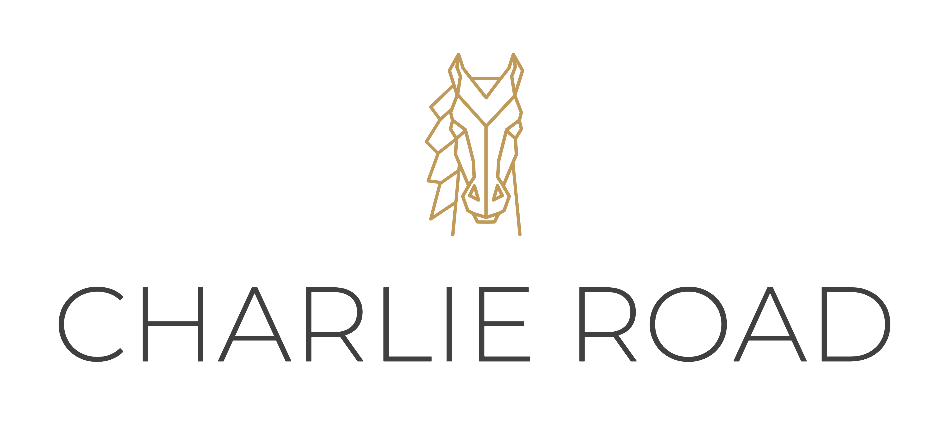 Charlie Road